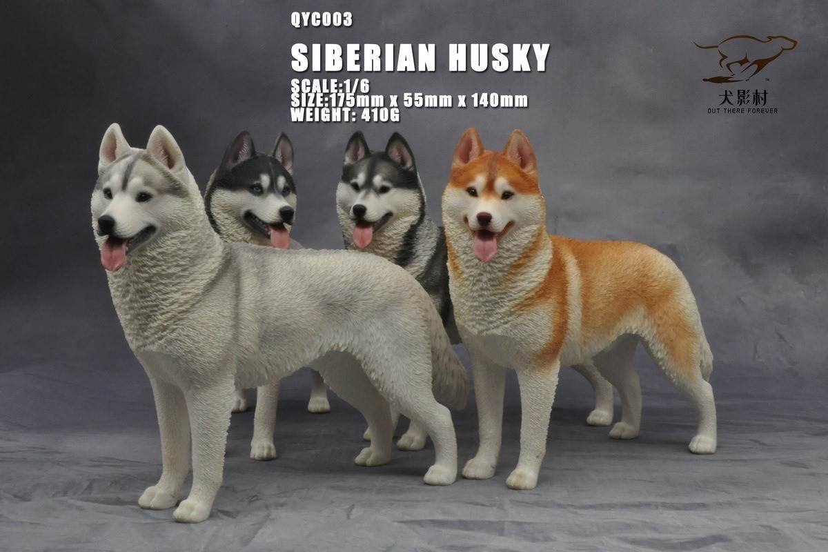 Husky 1/6 scale