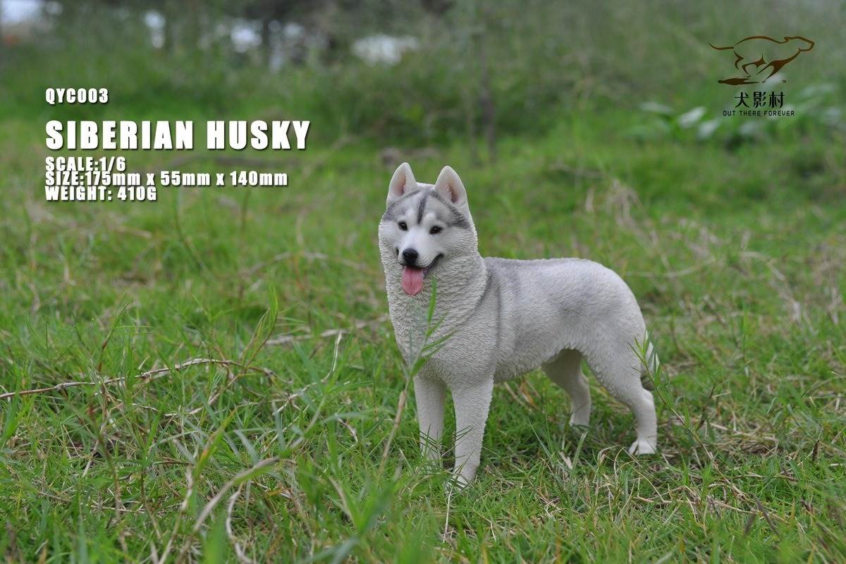 Husky 1/6 scale