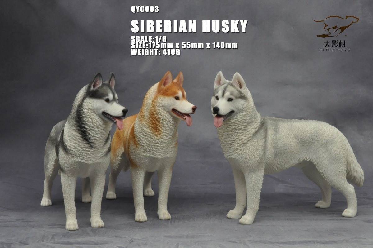 Husky 1/6 scale