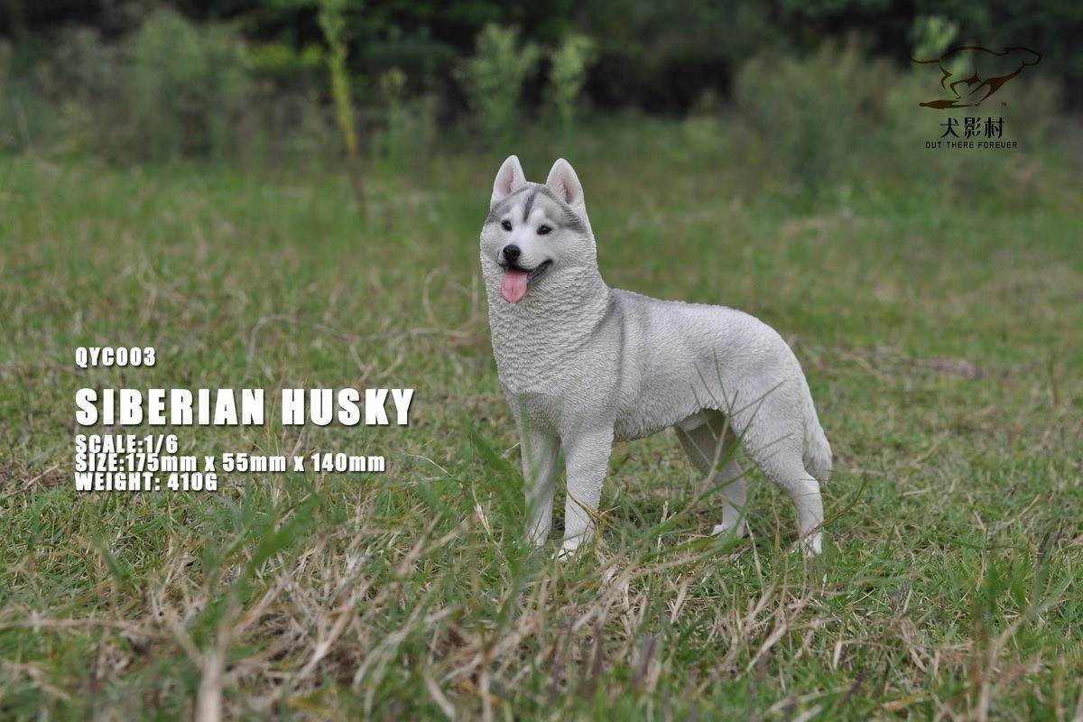 Husky 1/6 scale