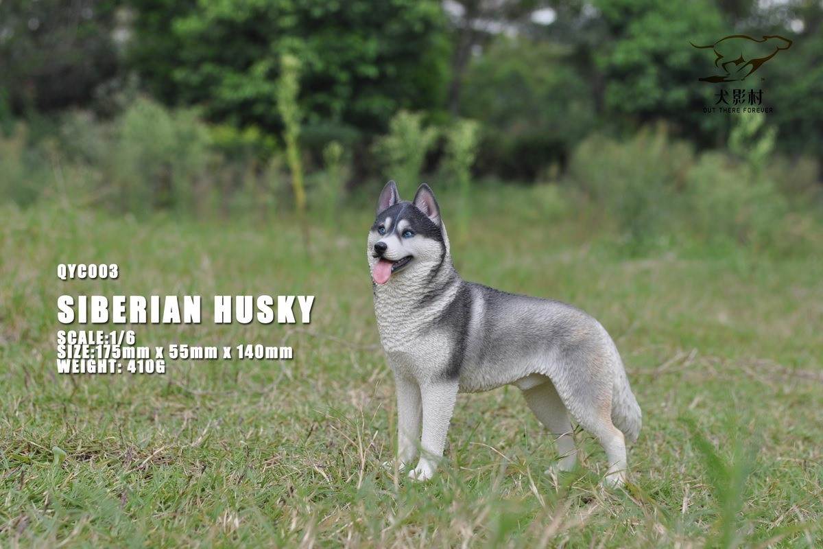 Husky 1/6 scale