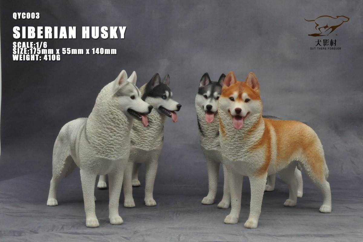 Husky 1/6 scale