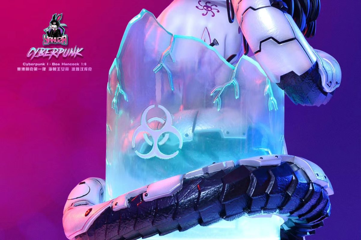 Cyberpunk Boa Hancock