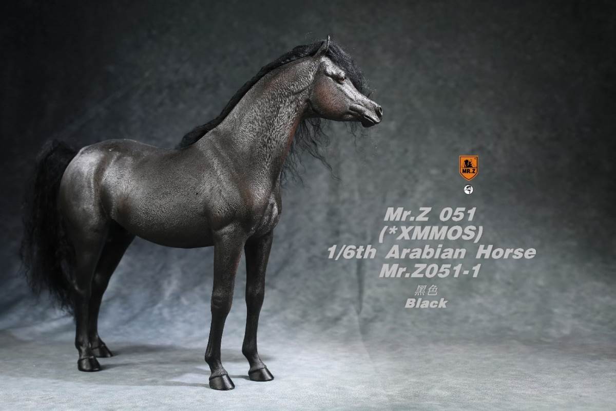1/6 Animal Model No.51: Arabian Horse（All 5 Colors）