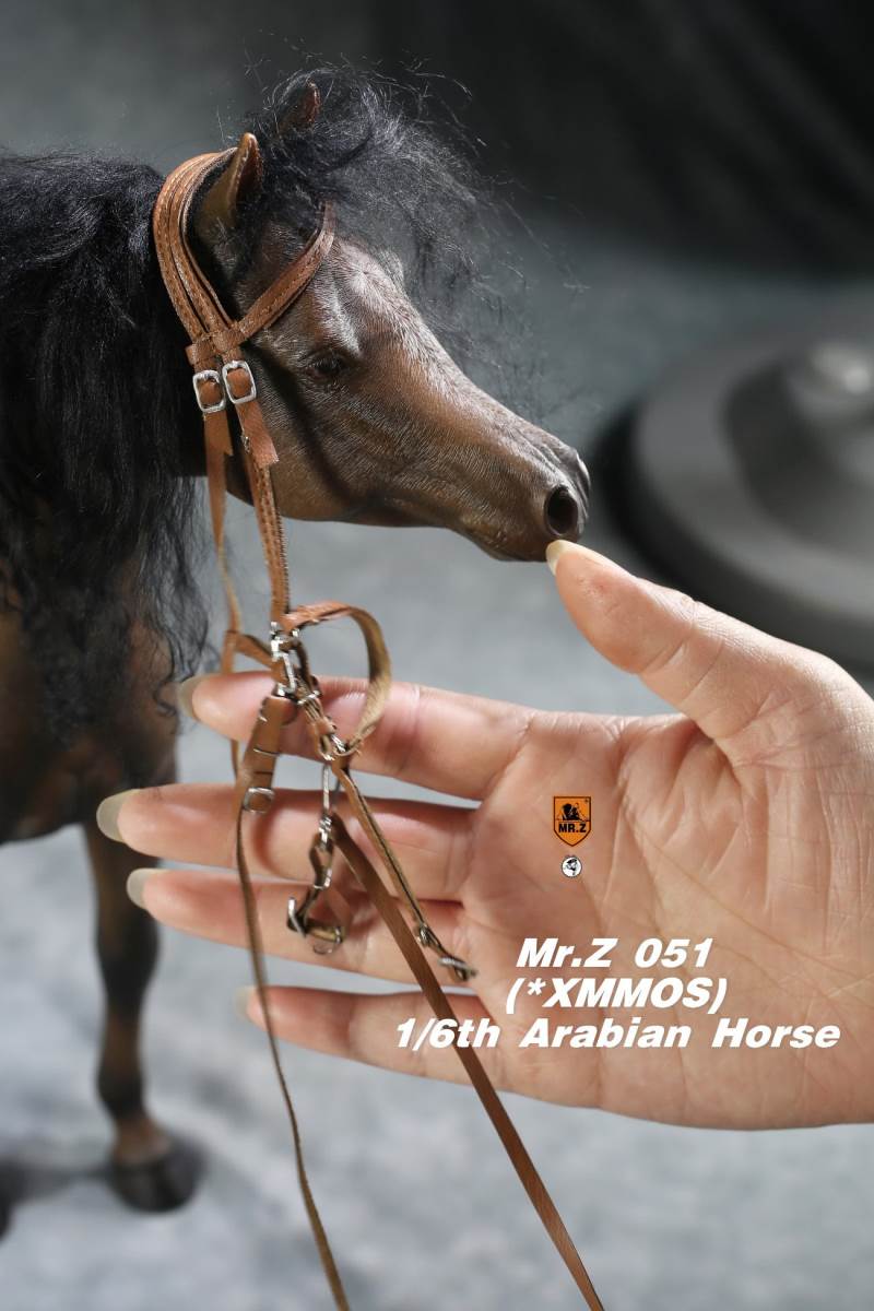 1/6 Animal Model No.51: Arabian Horse（All 5 Colors）