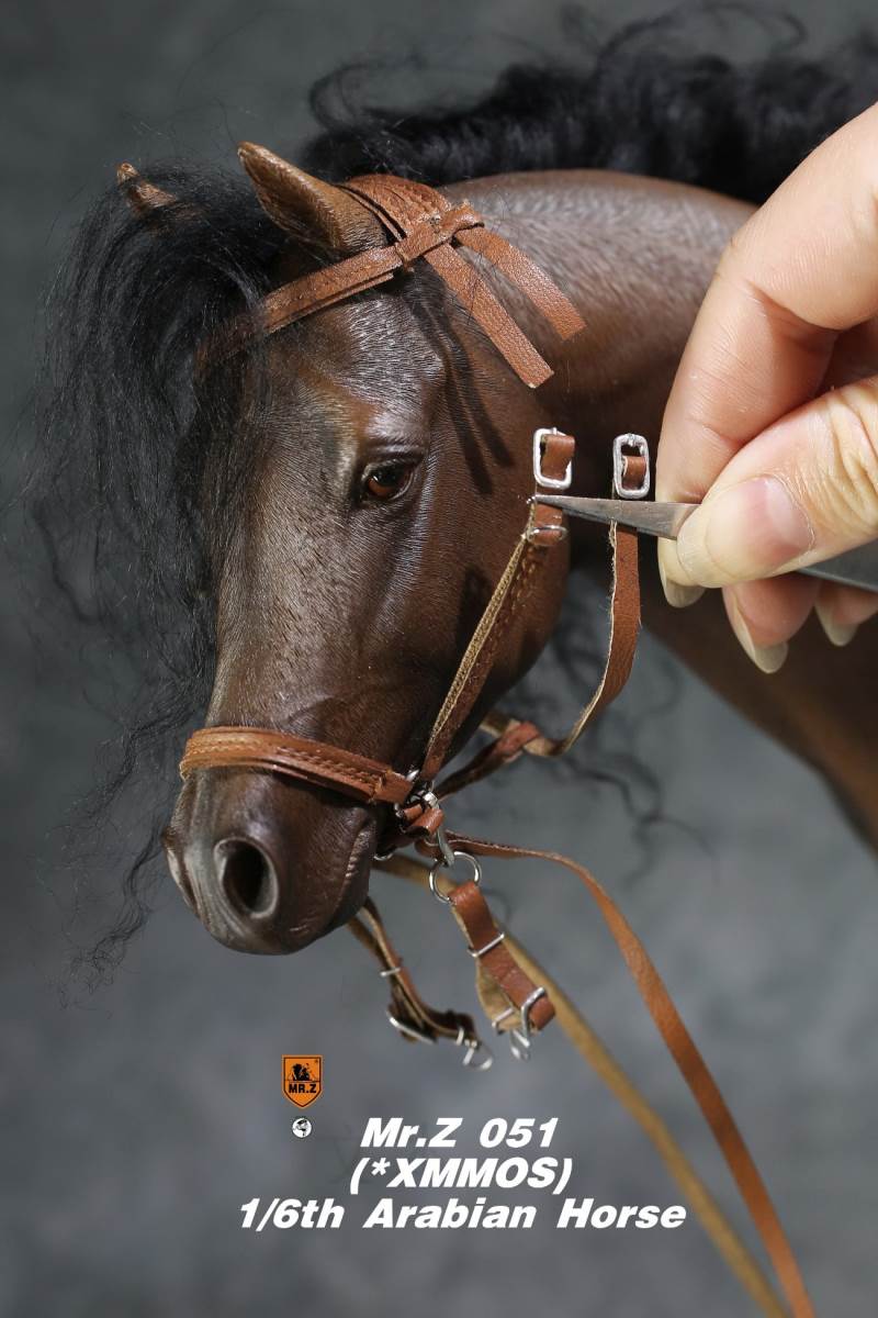 1/6 Animal Model No.51: Arabian Horse（All 5 Colors）
