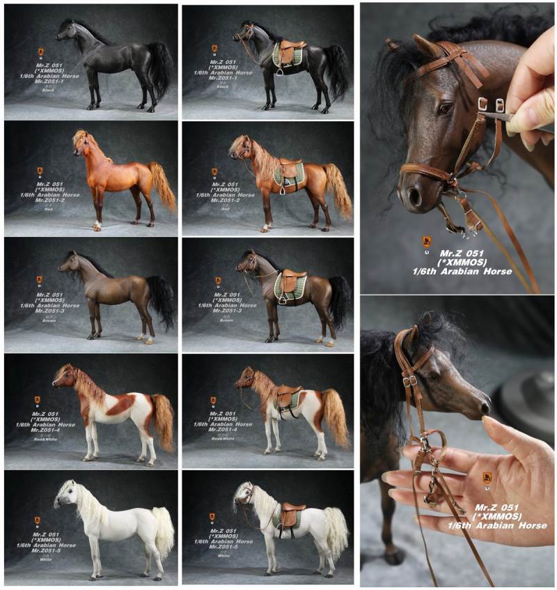 1/6 Animal Model No.51: Arabian Horse（All 5 Colors）