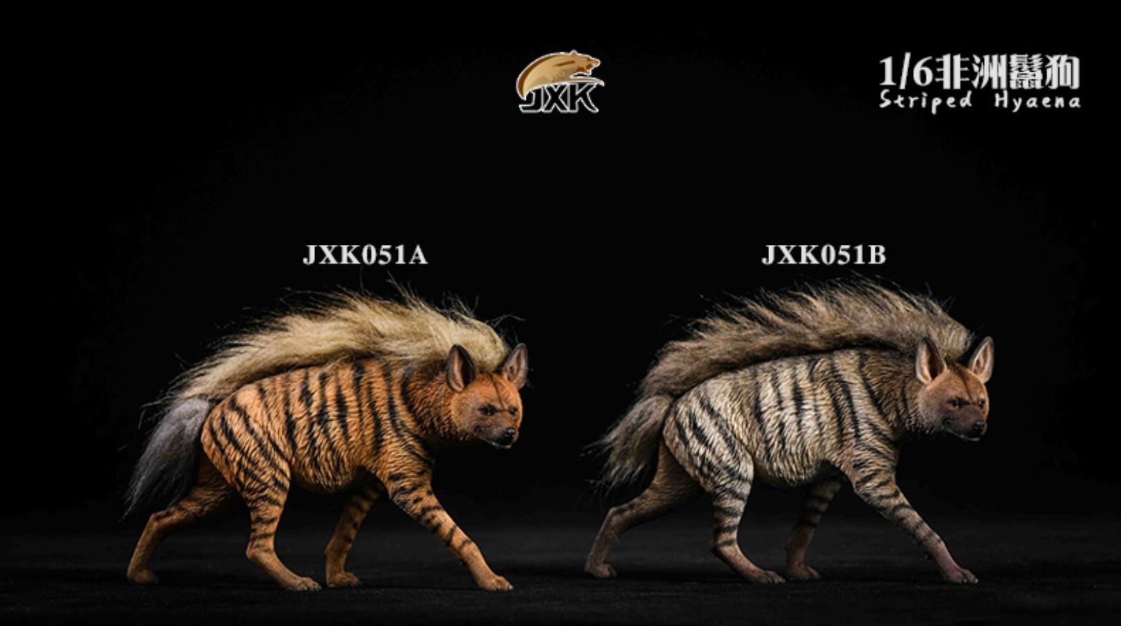1/6 African Hyena