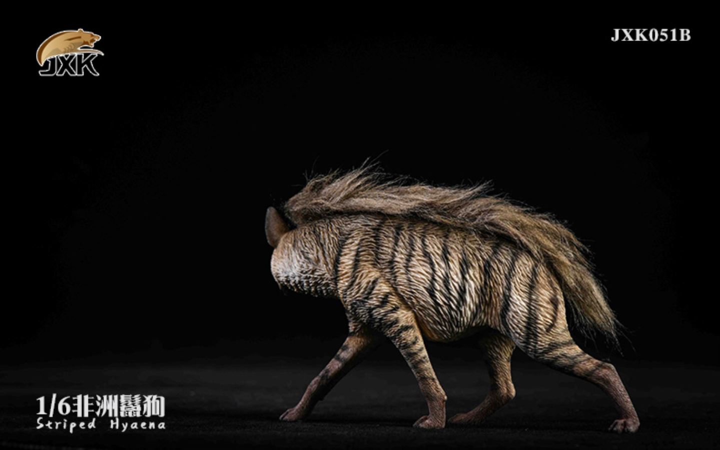 1/6 African Hyena