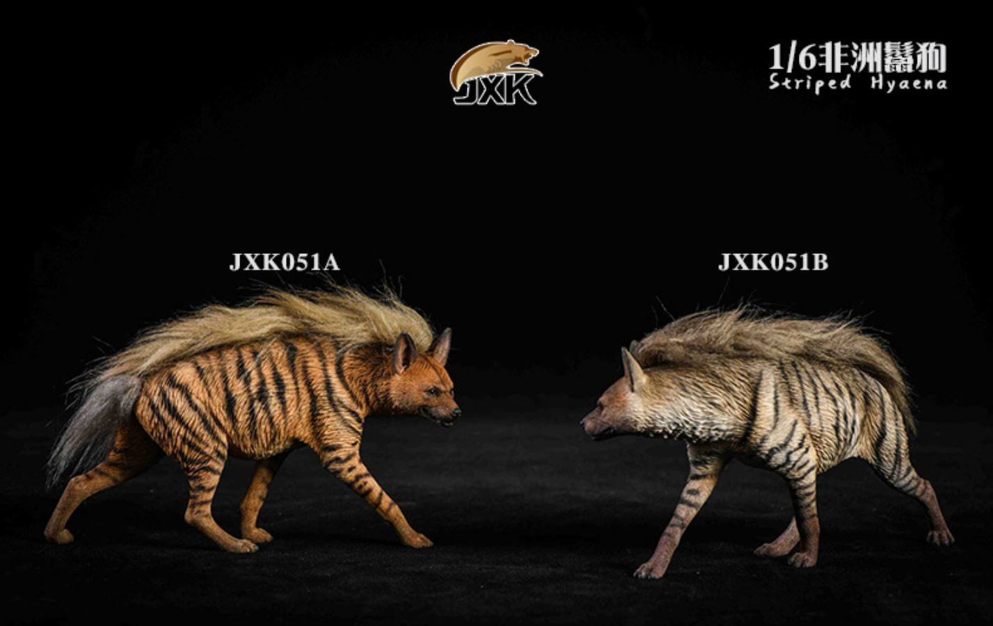 1/6 African Hyena