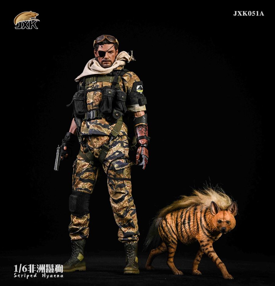 1/6 African Hyena