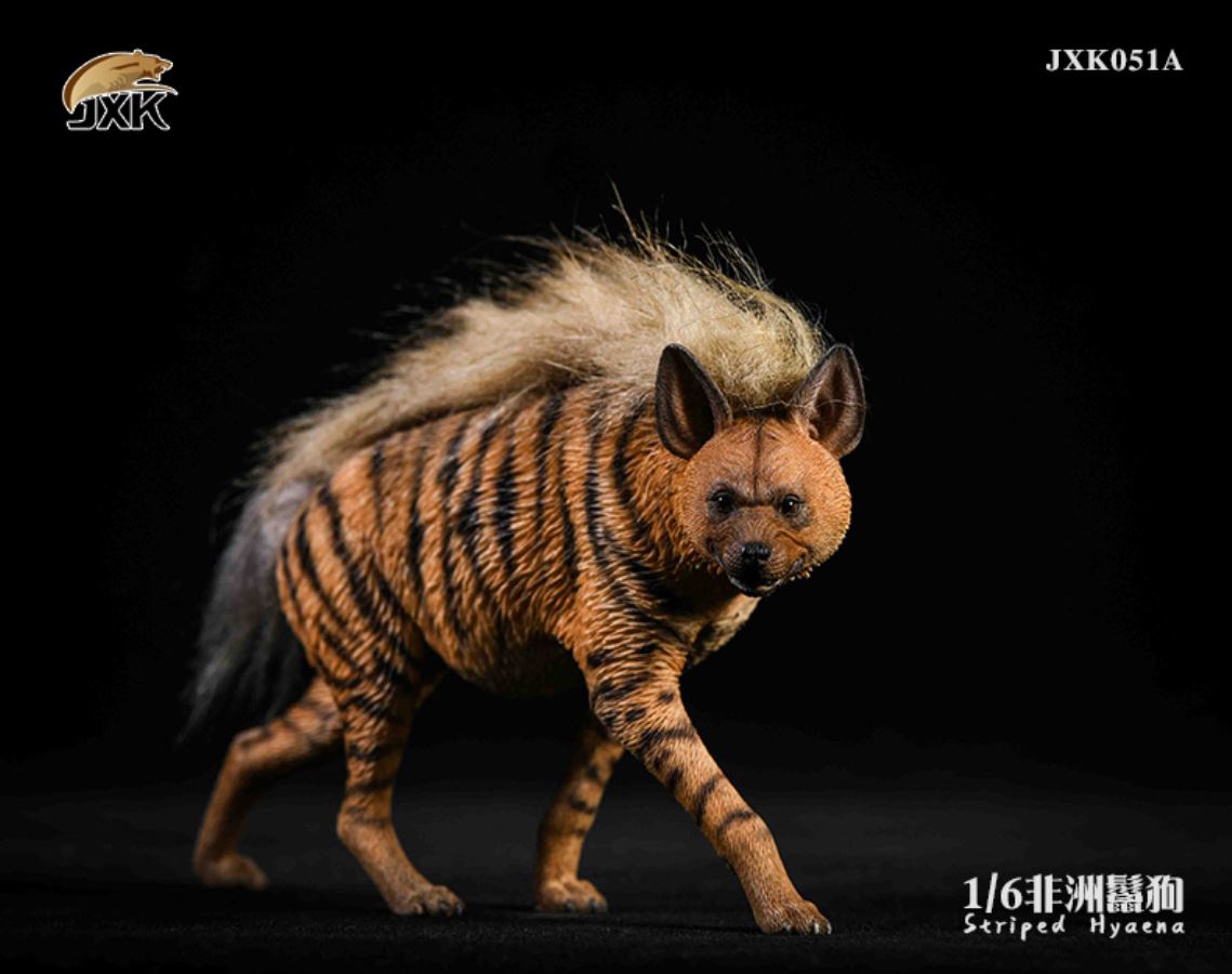 1/6 African Hyena