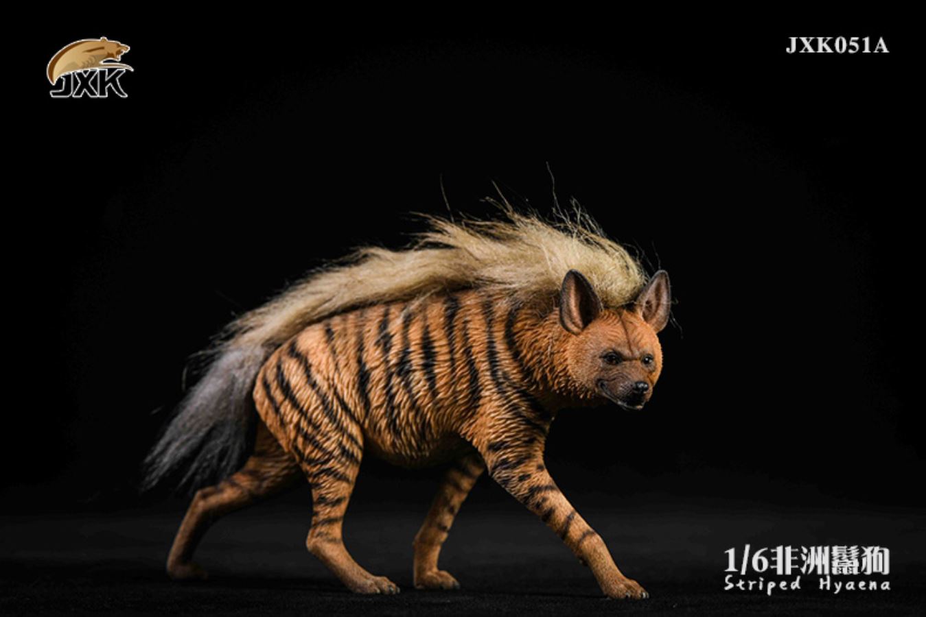 1/6 African Hyena