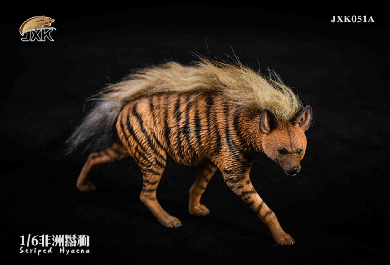 1/6 African Hyena