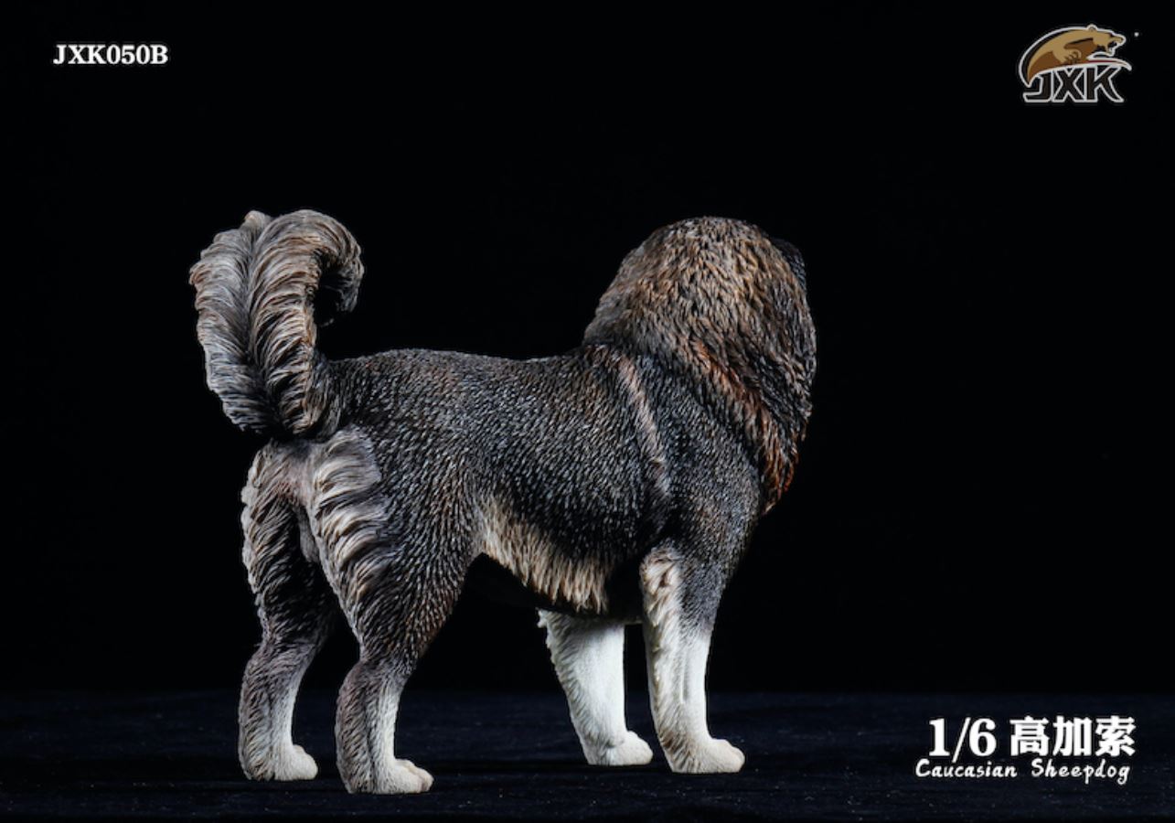 Caucasian Shepherd Dog 1/6