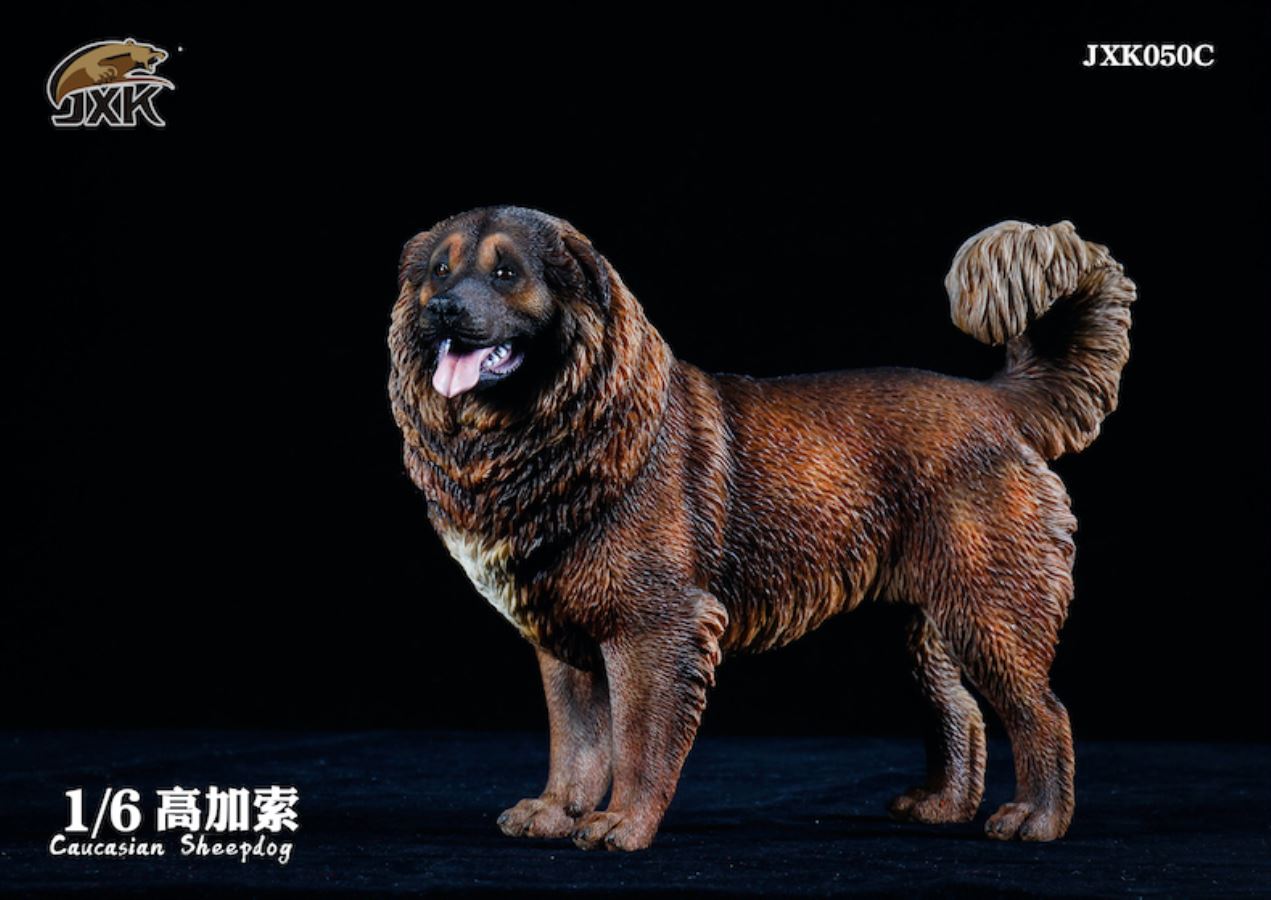 Caucasian Shepherd Dog 1/6