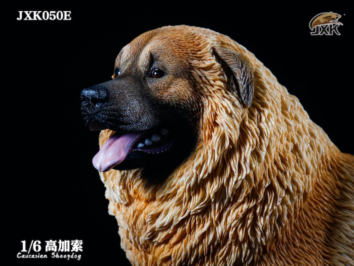 Caucasian Shepherd Dog 1/6