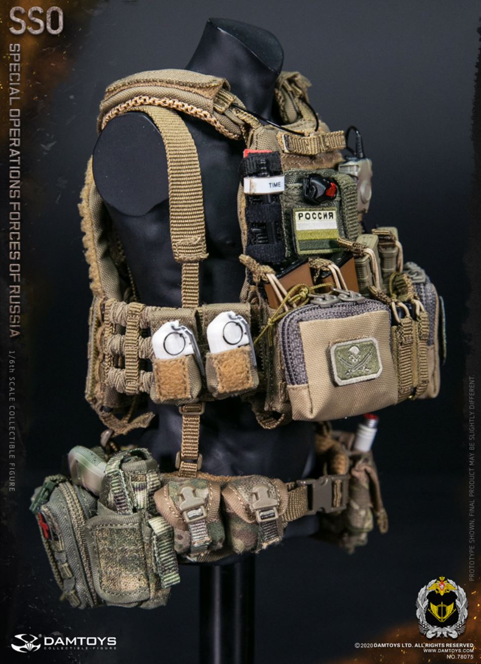 1/6 SSO Special Forces of the Russian Federation