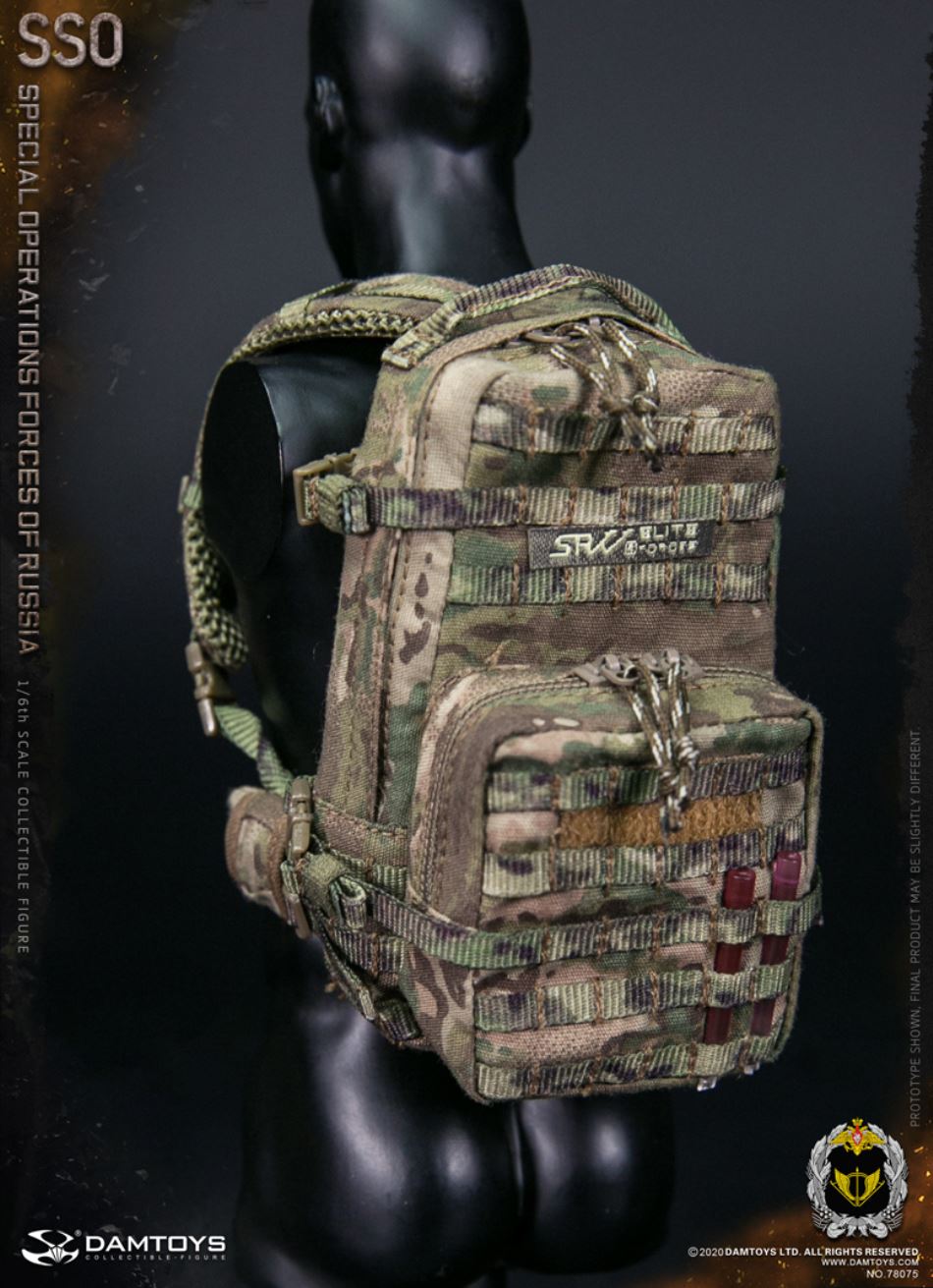 1/6 SSO Special Forces of the Russian Federation