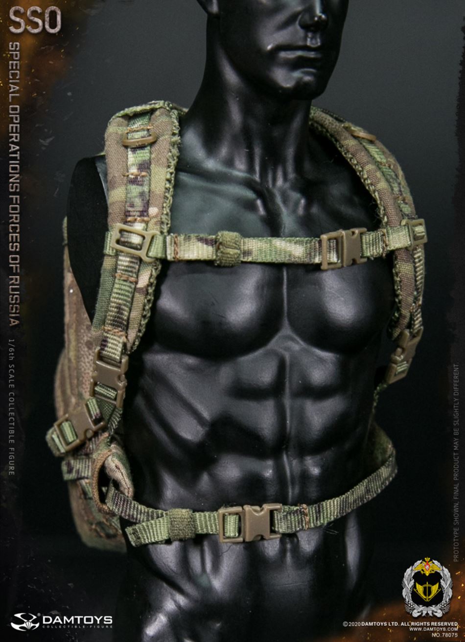 1/6 SSO Special Forces of the Russian Federation