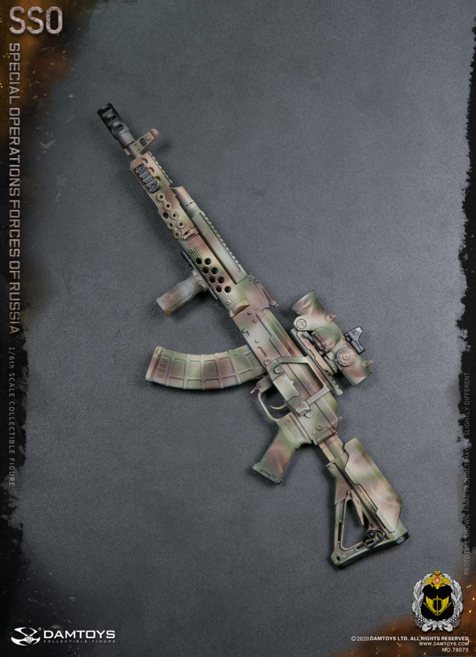 1/6 SSO Special Forces of the Russian Federation