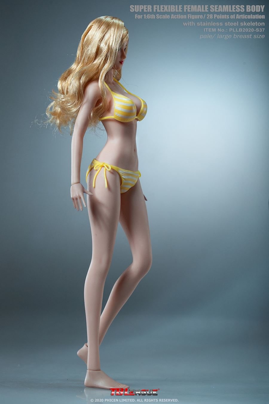 1/6th Female Super-Flexible Seamless Bodies Anime Girls 