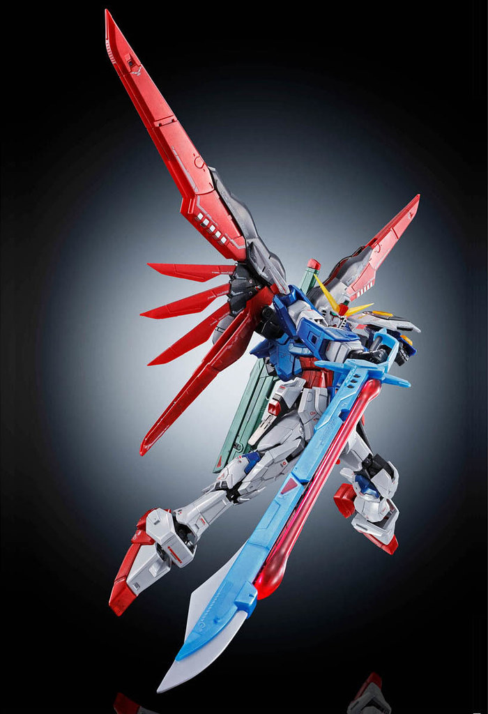 RG 1/144 DESTINY GUNDAM [Titanium Finish]