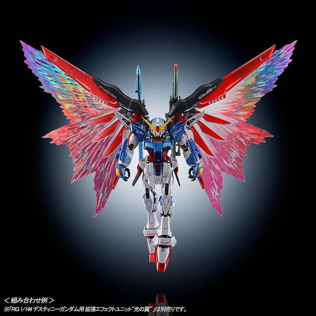 RG 1/144 DESTINY GUNDAM [Titanium Finish]