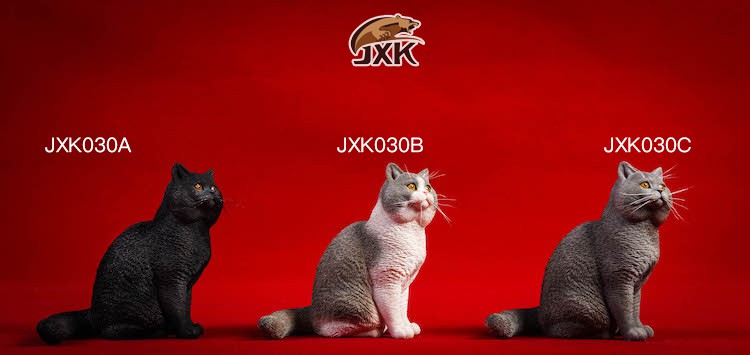 1/6 Puppet Cat and British Short-Tail
