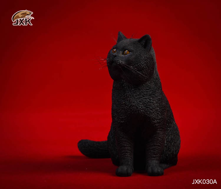 1/6 Puppet Cat and British Short-Tail