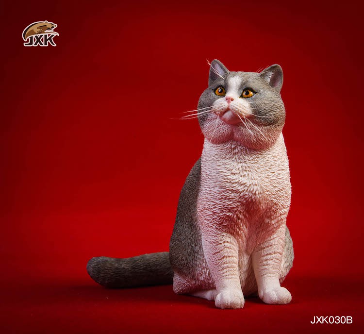 1/6 Puppet Cat and British Short-Tail