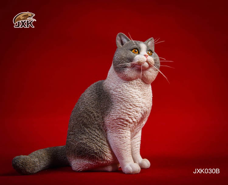 1/6 Puppet Cat and British Short-Tail