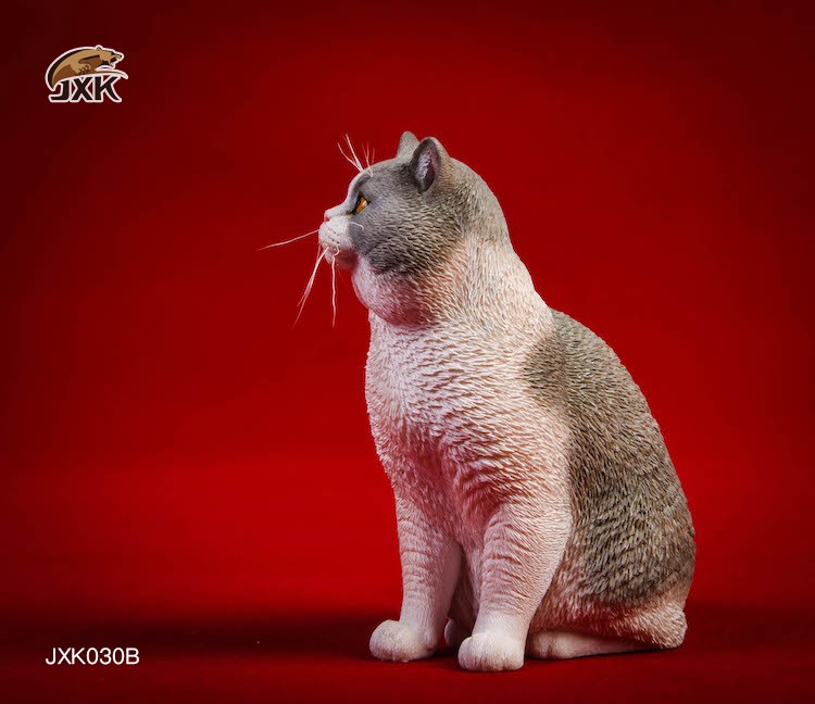 1/6 Puppet Cat and British Short-Tail