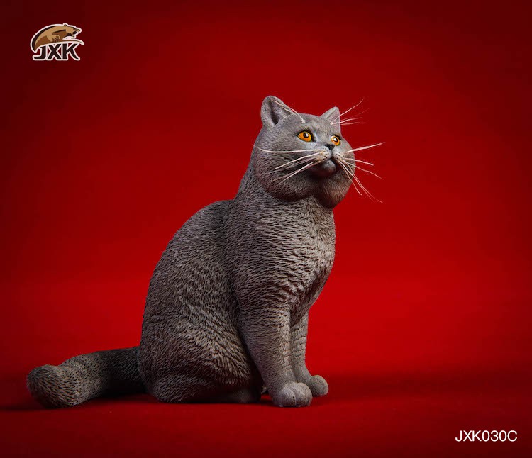 1/6 Puppet Cat and British Short-Tail