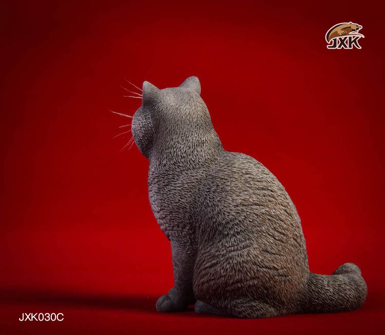 1/6 Puppet Cat and British Short-Tail