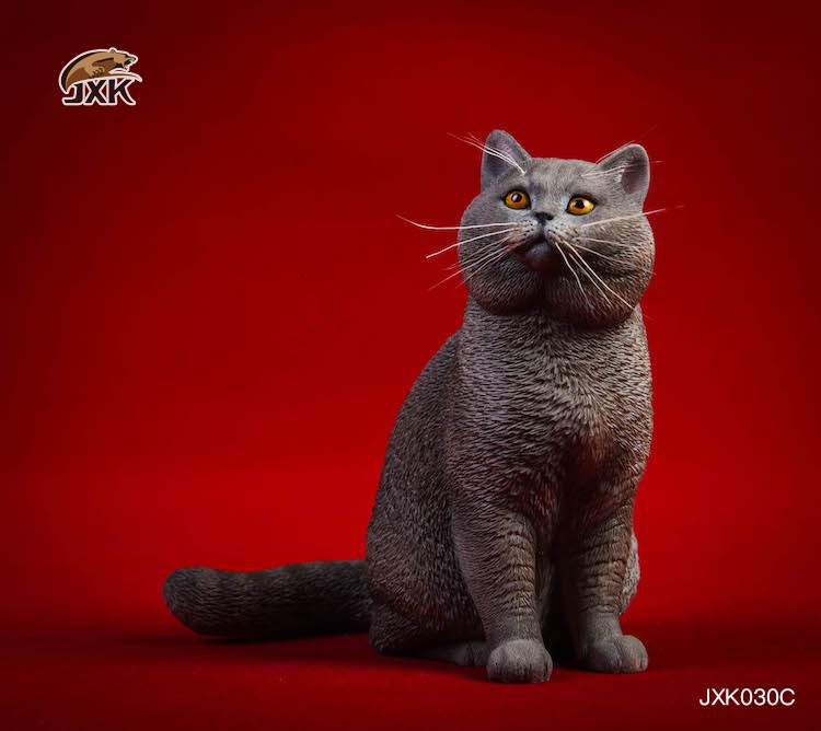 1/6 Puppet Cat and British Short-Tail