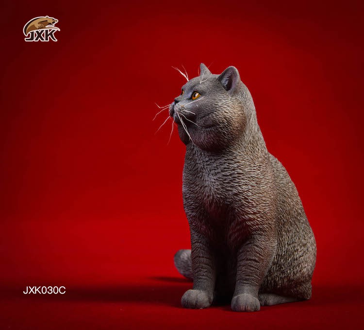 1/6 Puppet Cat and British Short-Tail