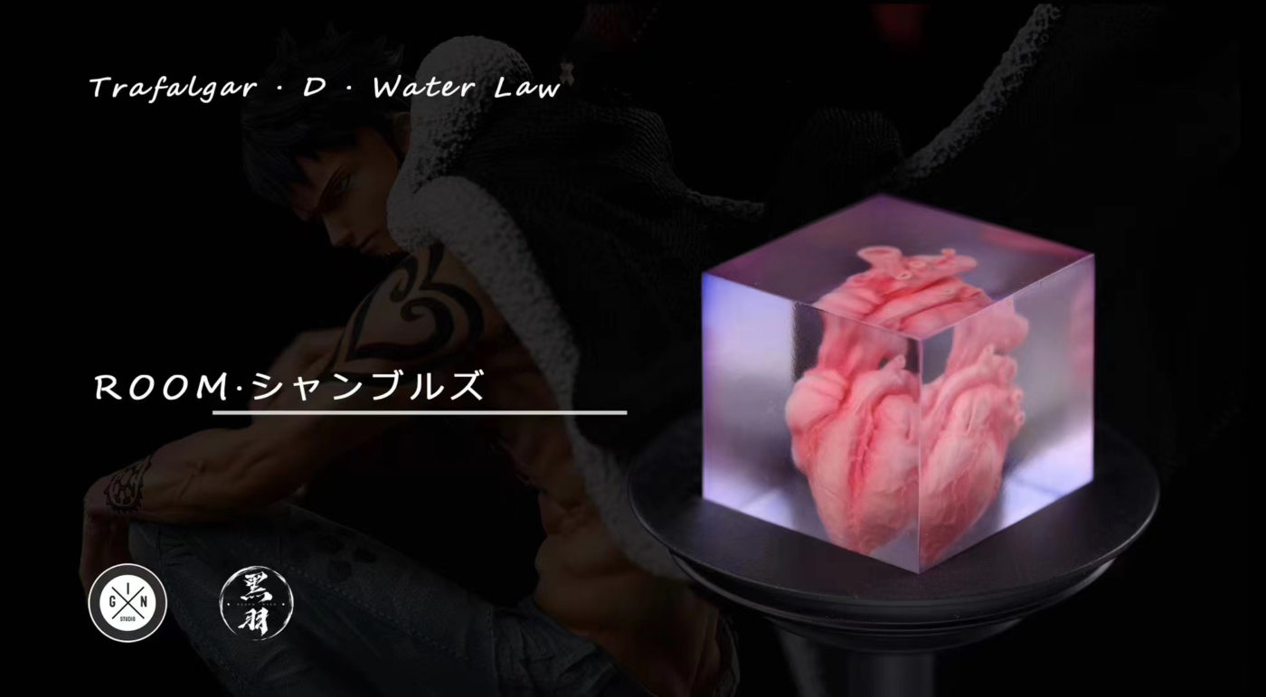 Trafalgar D. Water Law