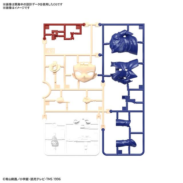 ENTRY GRADE Edogawa Conan