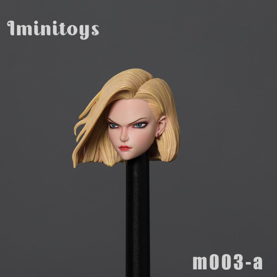 1/6 M003 1/12 M004 Artificial Human No. 18 Head Sculpture