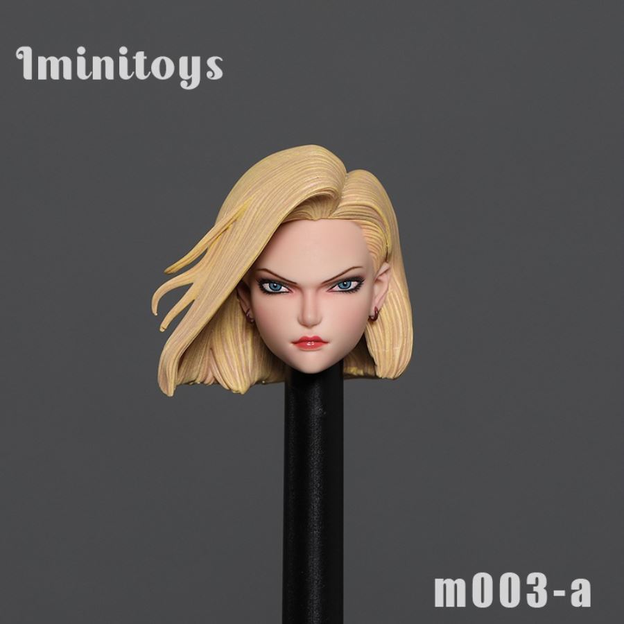 1/6 M003 1/12 M004 Artificial Human No. 18 Head Sculpture