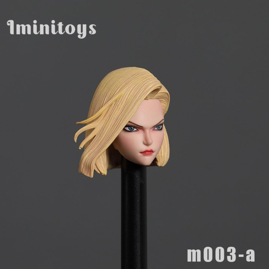 1/6 M003 1/12 M004 Artificial Human No. 18 Head Sculpture