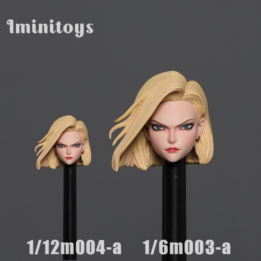 1/6 M003 1/12 M004 Artificial Human No. 18 Head Sculpture