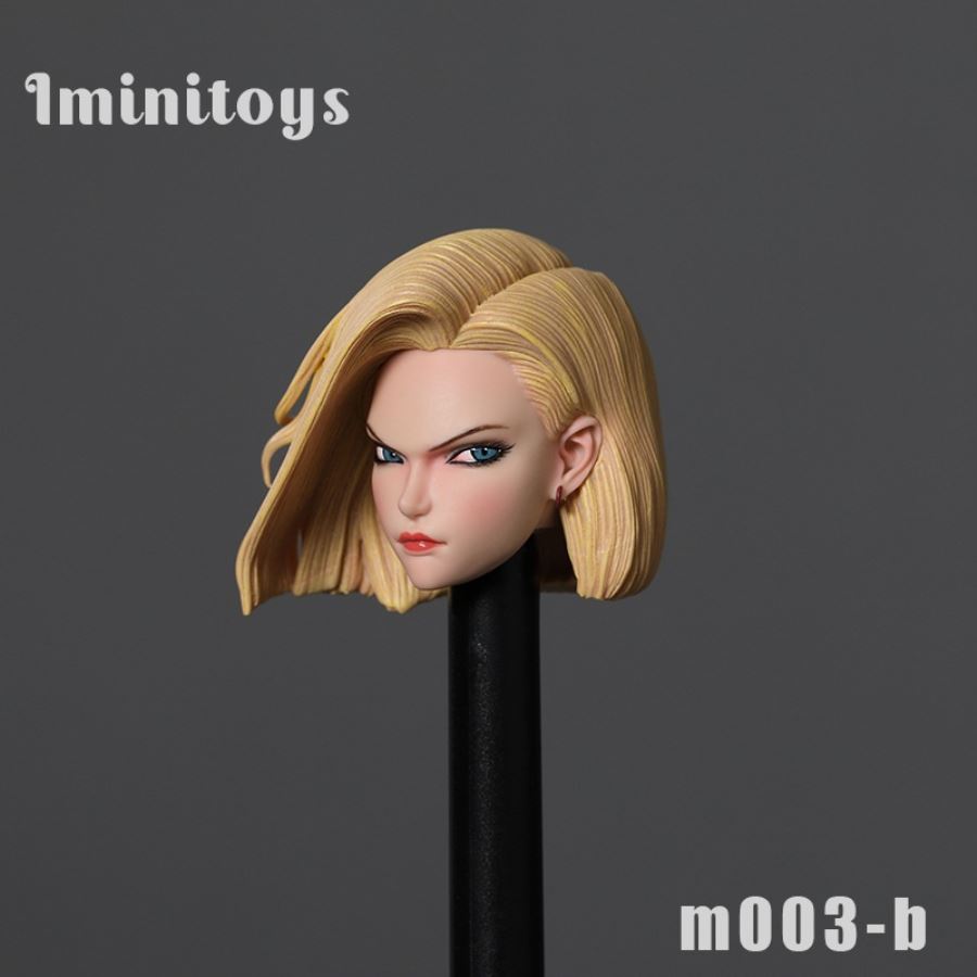 1/6 M003 1/12 M004 Artificial Human No. 18 Head Sculpture