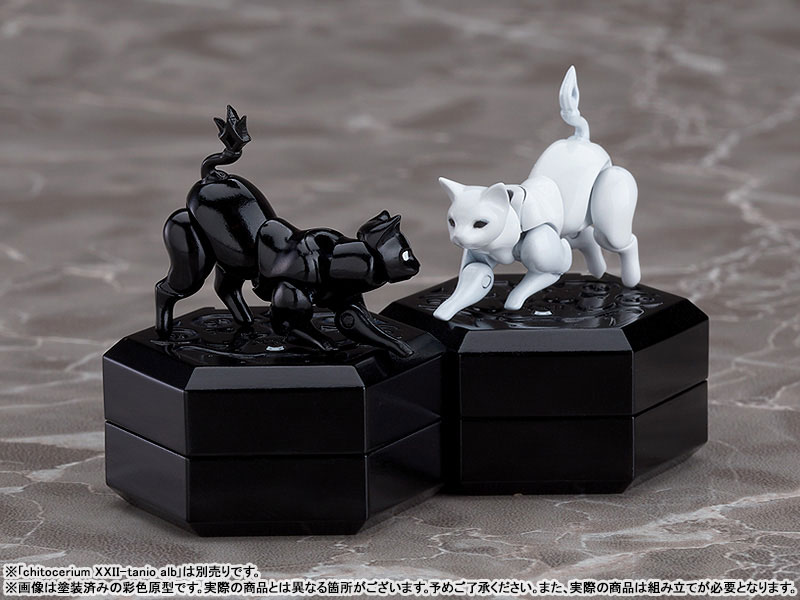chitocerium XXII-tanio atr 1/1