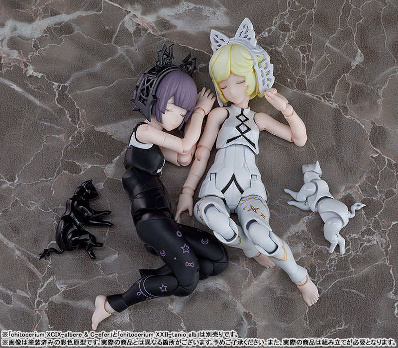 chitocerium XXII-tanio atr 1/1
