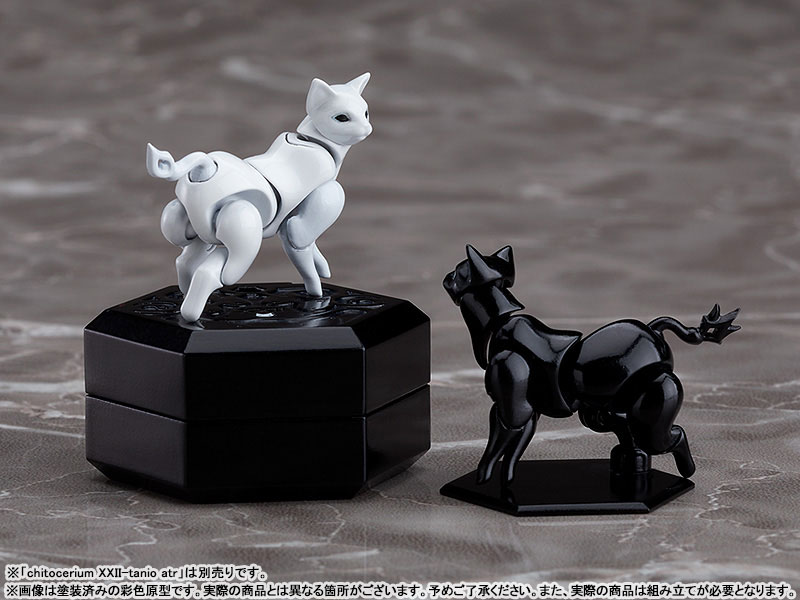 chitocerium XXII-tanio alb 1/1