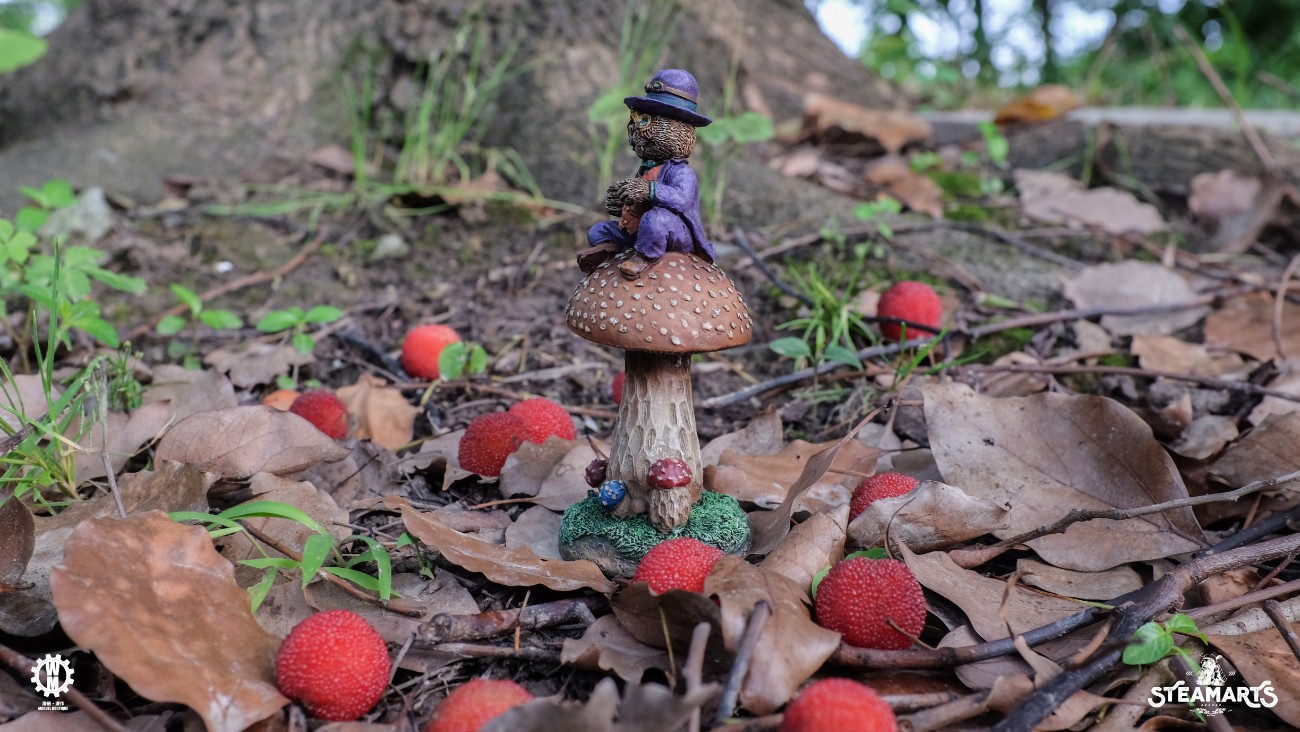 Mushroom Series - Andrew Lab