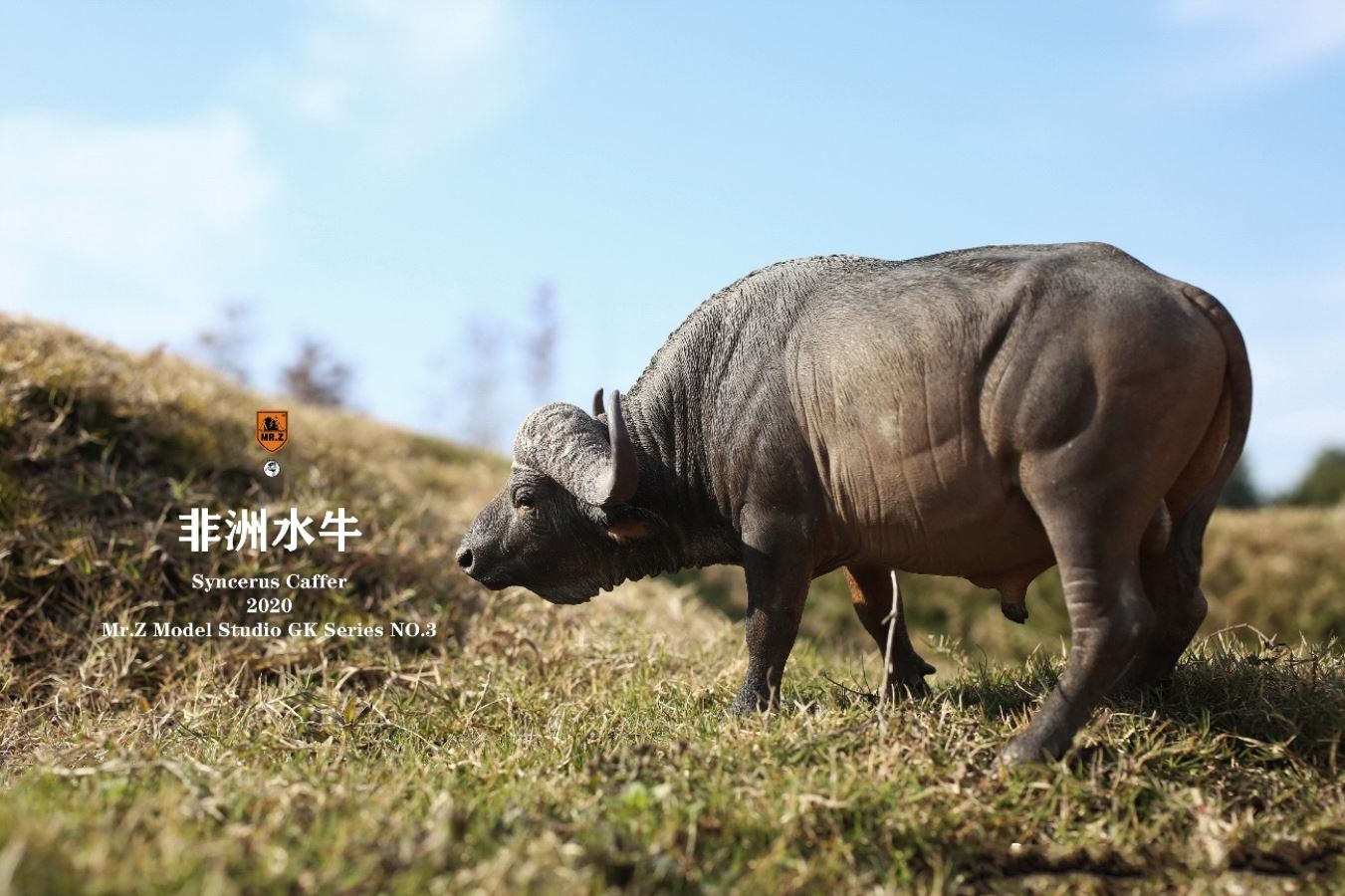 African buffalo 1/10