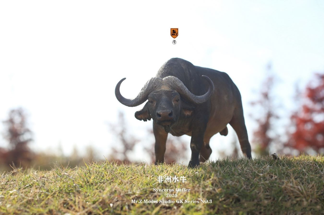 African buffalo 1/10